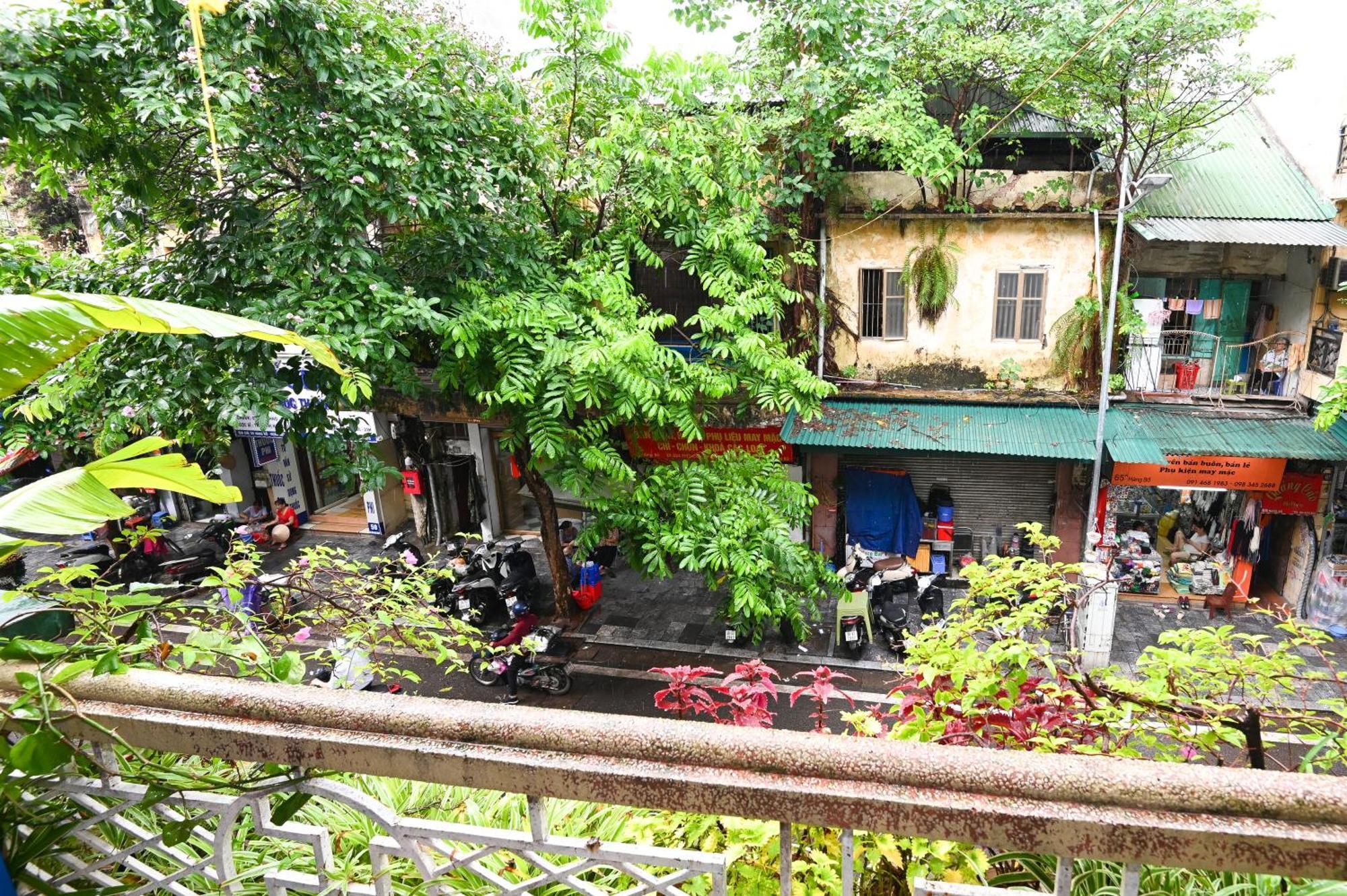 Sunny Hanoi Homestay Eksteriør billede